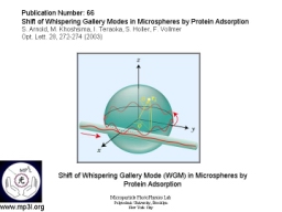 Whispering Gallery Mode Biosensor 005.JPG